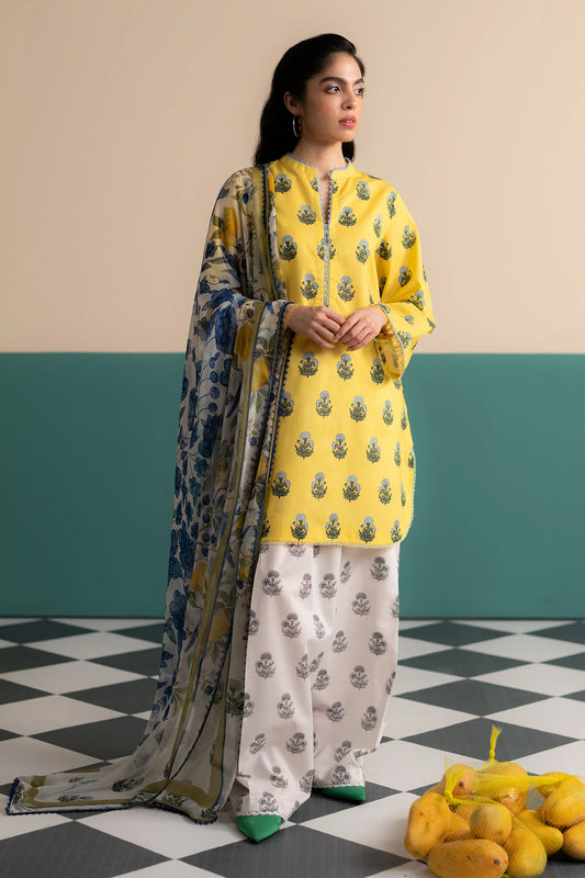 Zofi-4A | Zara Shahjahan | Coco Prints edit III 2025