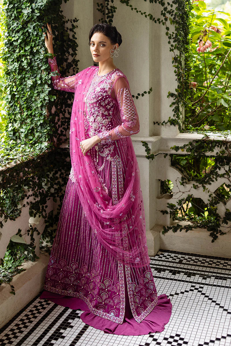 Sweet November | Mushq | Inception Wedding Collection 2025