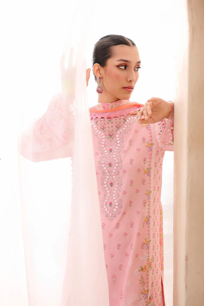 D-01 | Raj Bari | Silah Silk Edit 2025