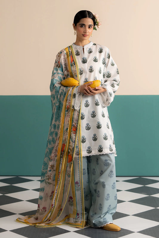 Zofi-4B | Zara Shahjahan | Coco Prints edit III 2025