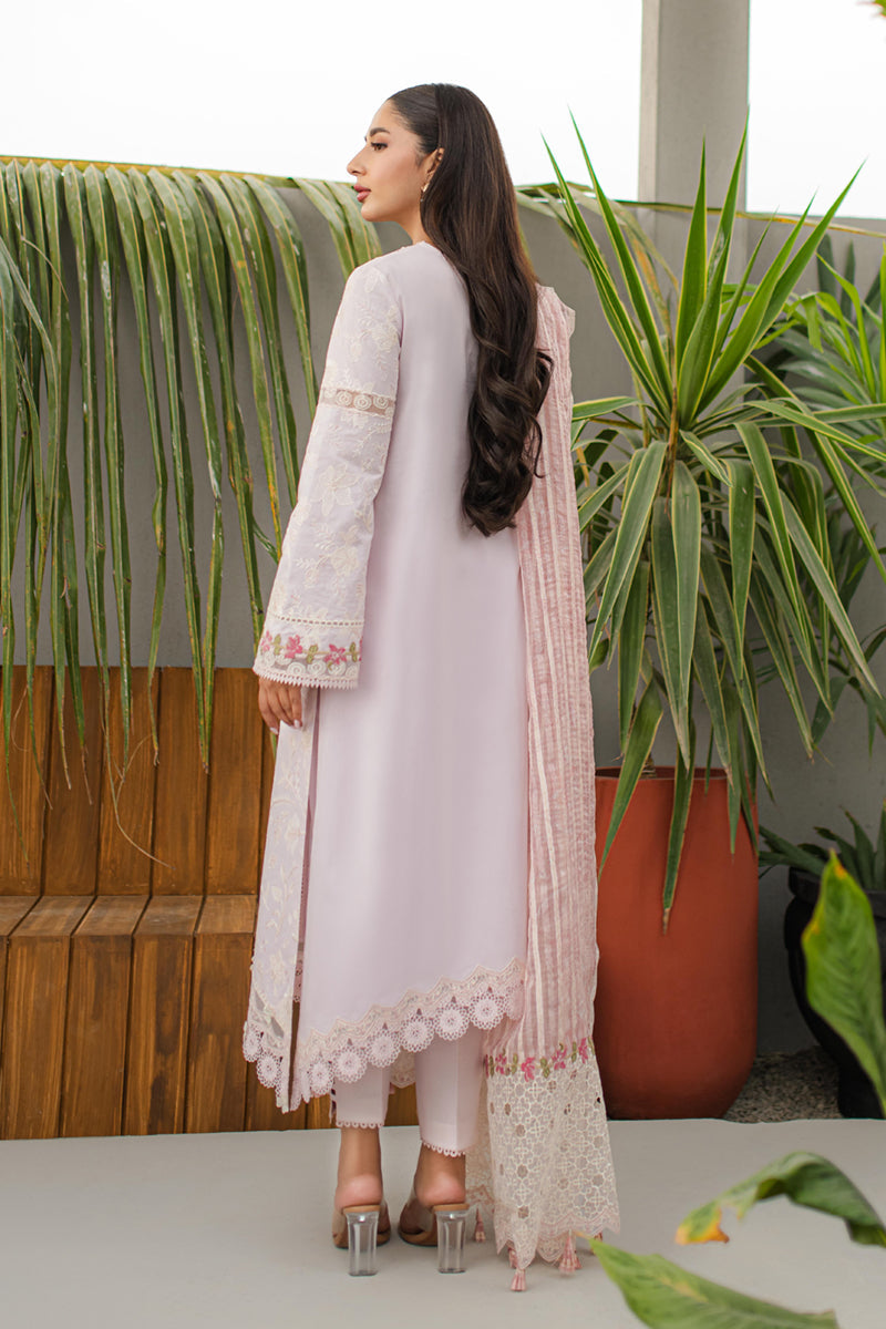 JK-11 NIEVE | Qalamkar | Qline Lawn Collection 2024