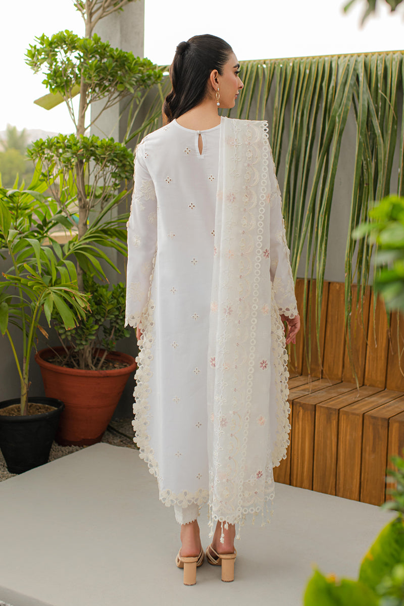 JK-10 ORLA | Qalamkar | Qline Lawn Collection 2024