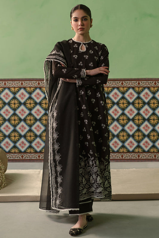 DUSKY SABLE | Cross stitch | Chikankari Unstitched Collection 2024