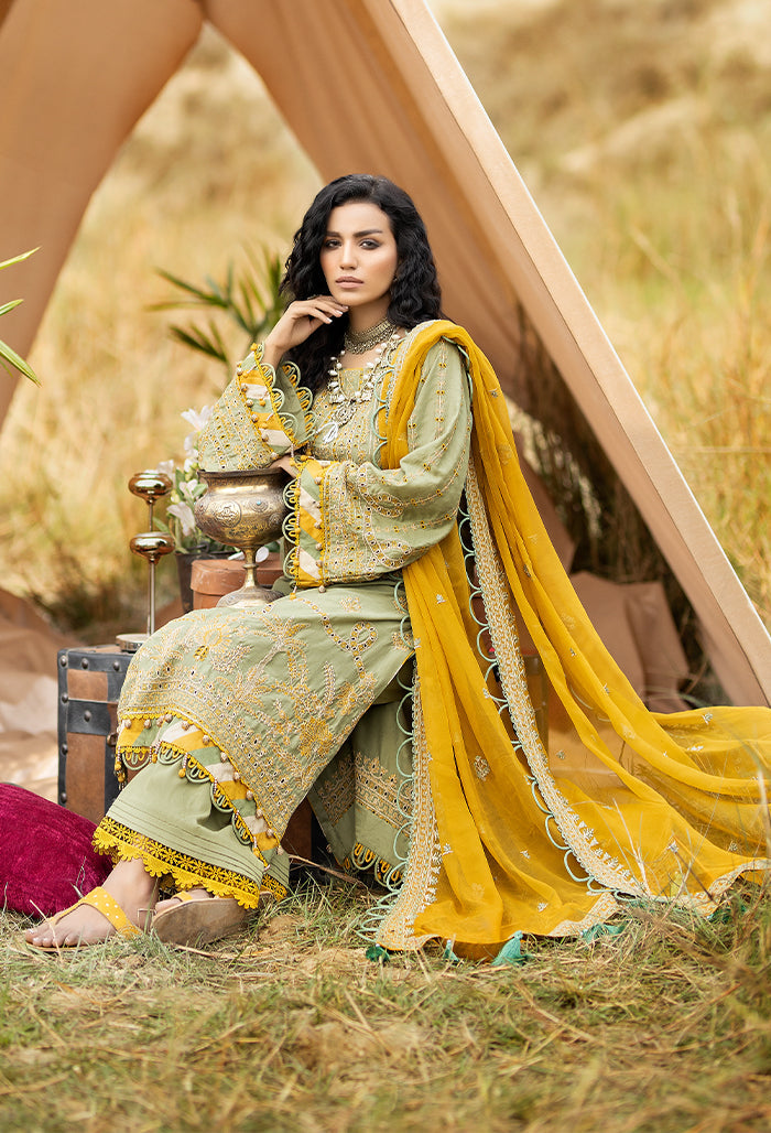 Lawnkari 6007 | Adan's Libas | lawnkari Embroidered Lawn Collection '23