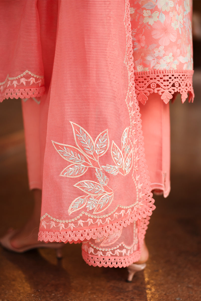 Safina | Rang Rasiya | Florence Summer Edit Collection Unstitched 2026