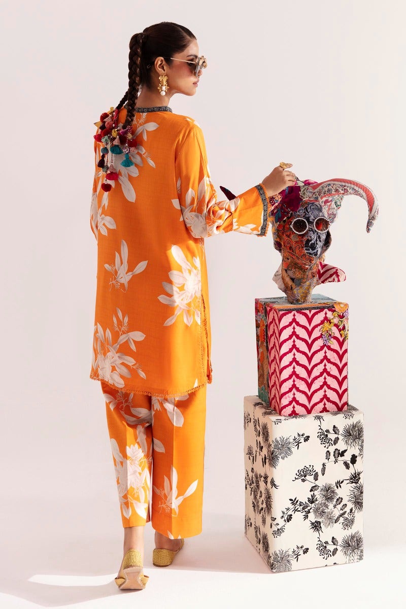 H232-026B-C | Sana Safinaz | Mahay Winter 2023