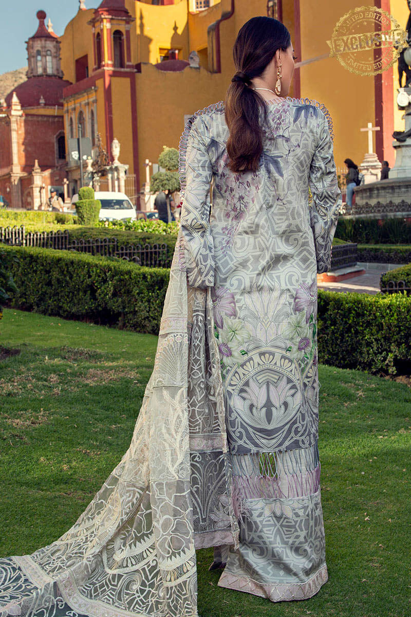 Rosa Centifolia (MSQ-10)