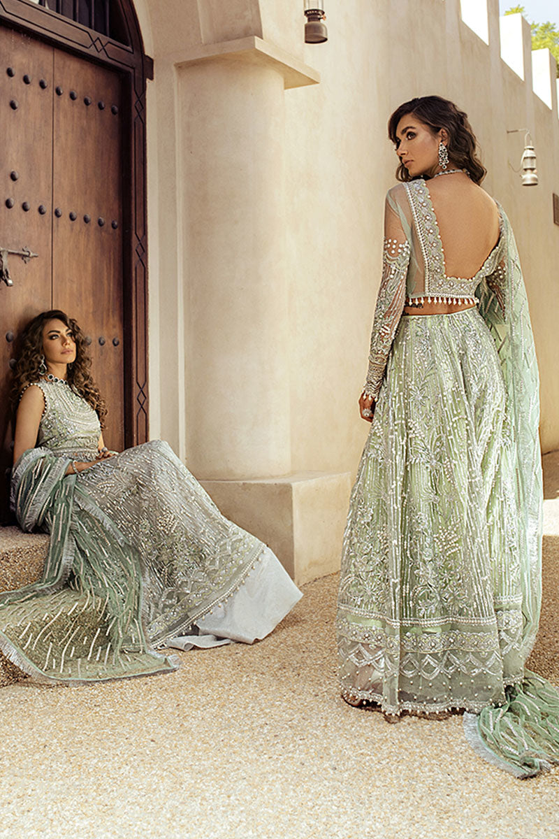 Ocean Wave MTL20-6 | Mushq | Trousseau De Luxe | Mirage Collection'20