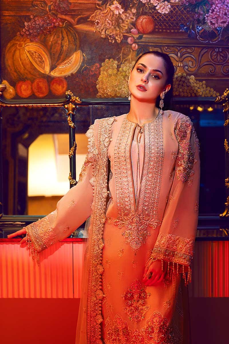 Ethnic Royale | Rang Rasiya | Ritzier Embroidered Chiffon collection 2020