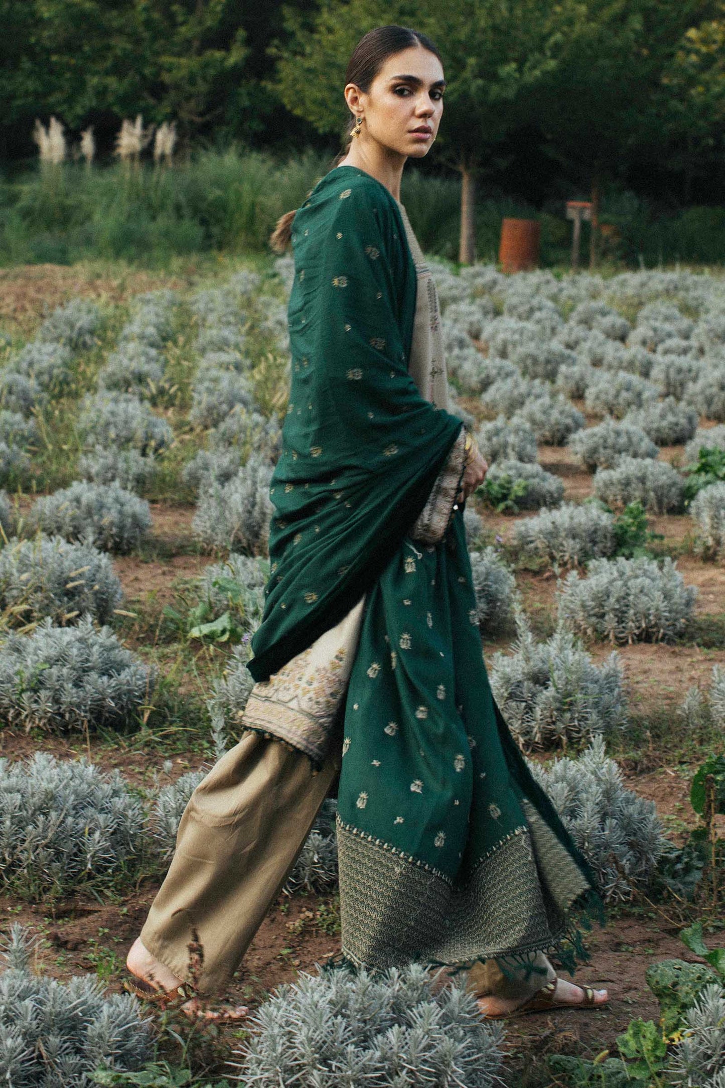 Zohra | Zara Shahjahan | Winter Shawl Collection 20