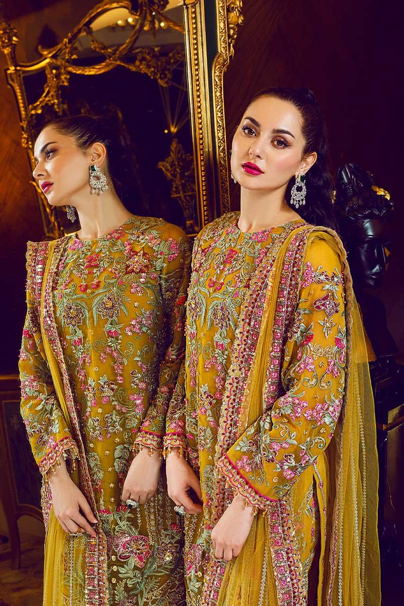 Royal Trellis | Rang Rasiya |  Ritzier Embroidered Chiffon collection 2020