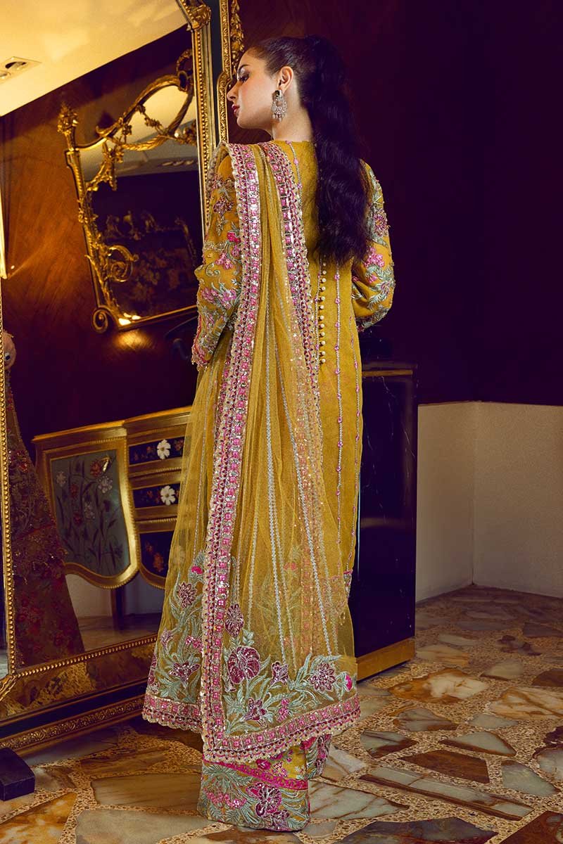 Royal Trellis | Rang Rasiya |  Ritzier Embroidered Chiffon collection 2020