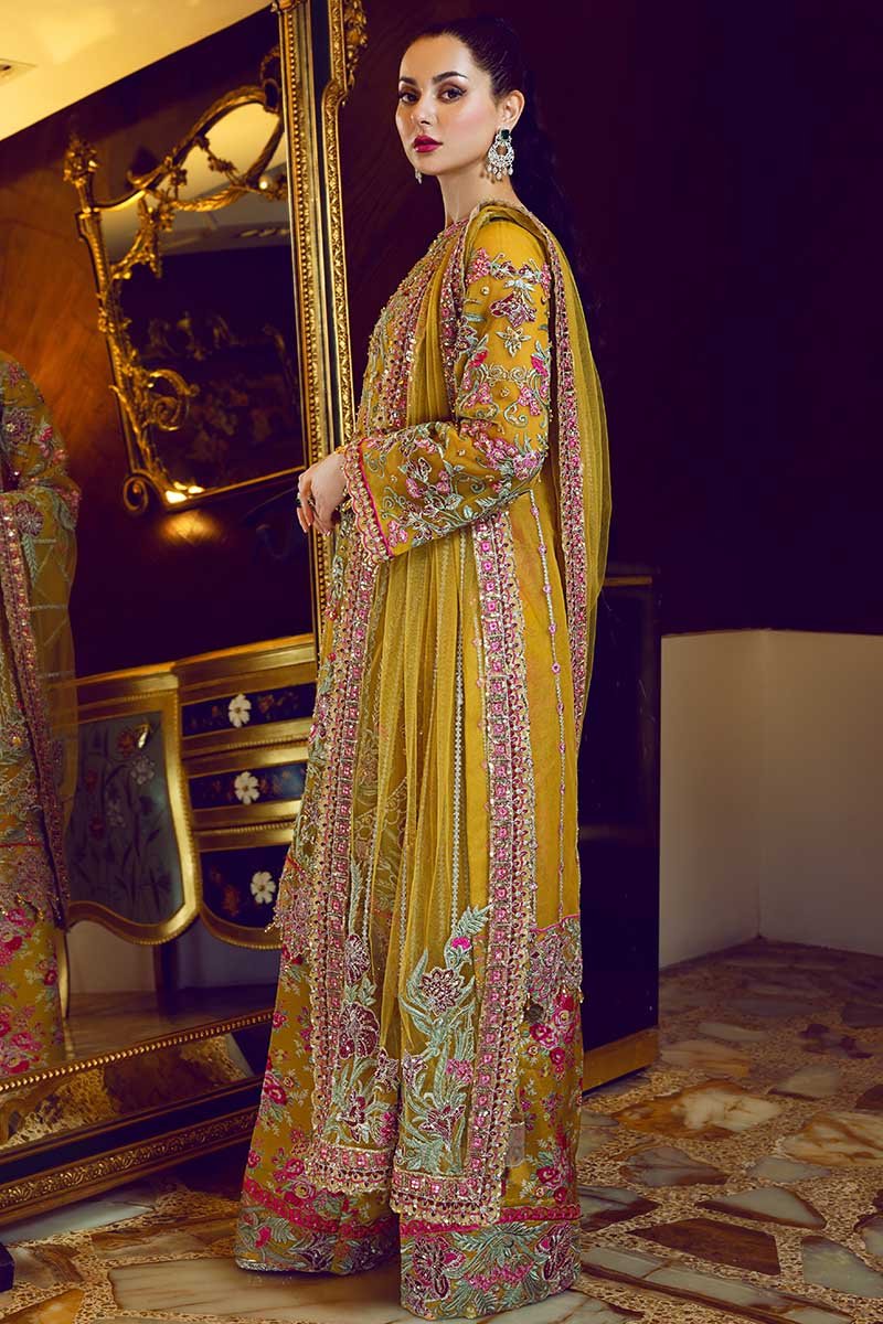 Royal Trellis | Rang Rasiya | Ritzier Embroidered Chiffon collection 2020