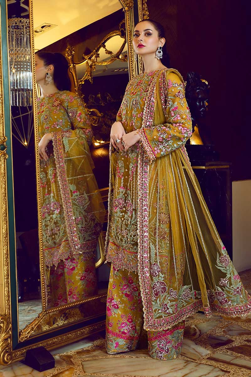Royal Trellis | Rang Rasiya |  Ritzier Embroidered Chiffon collection 2020