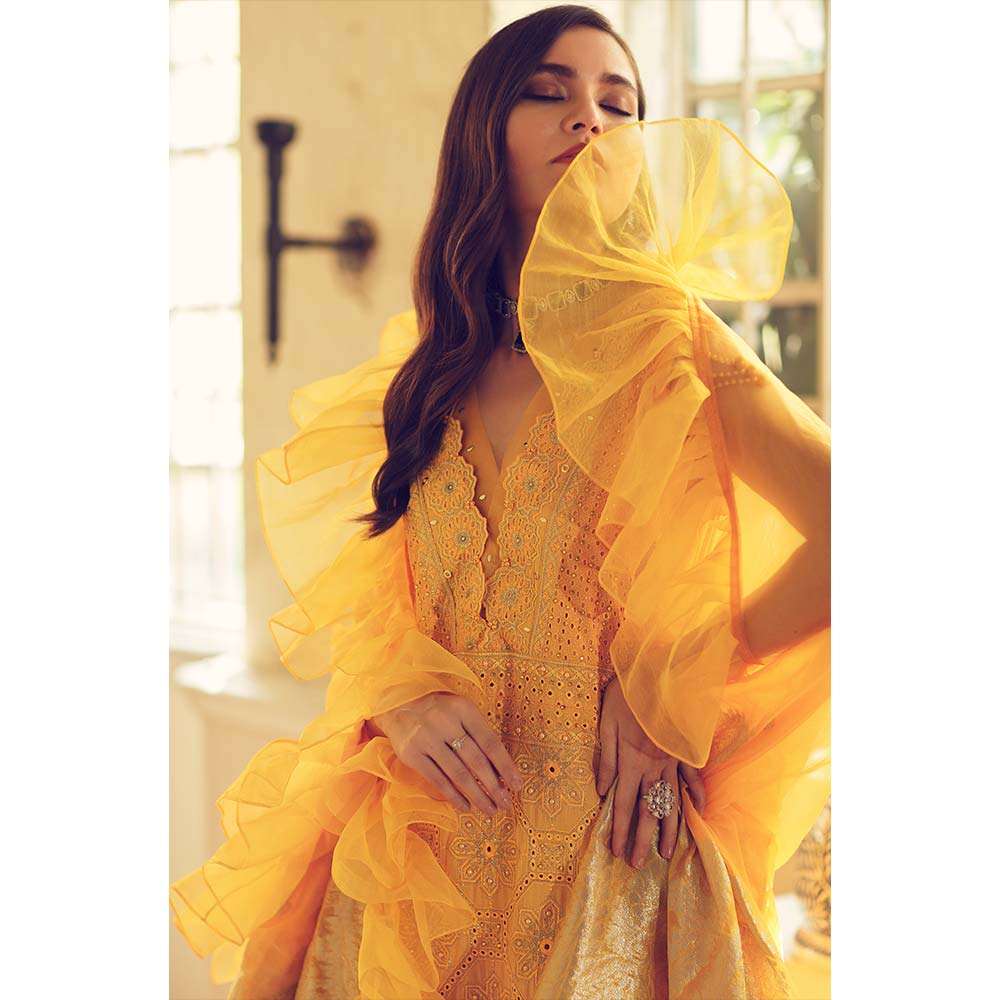 Saffron | Rouche Chikankari Collection | 2020