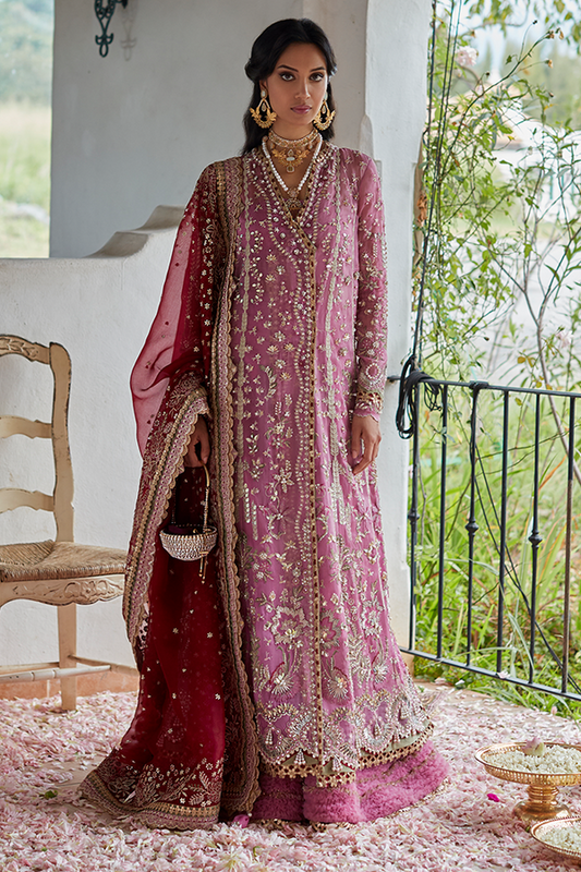 ZAIBA | Suffuse | Wedding Festive Collection 2022