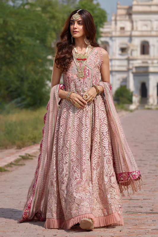 Chikankari Blush (Crimson x SairaShakira Luxury Collection 19)