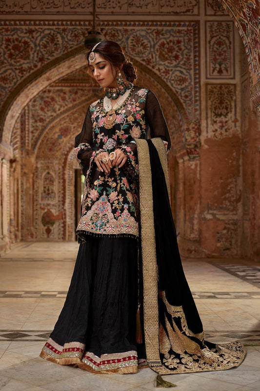 Kashmiri Sable (Crimson x SairaShakira Luxury Collection 19)