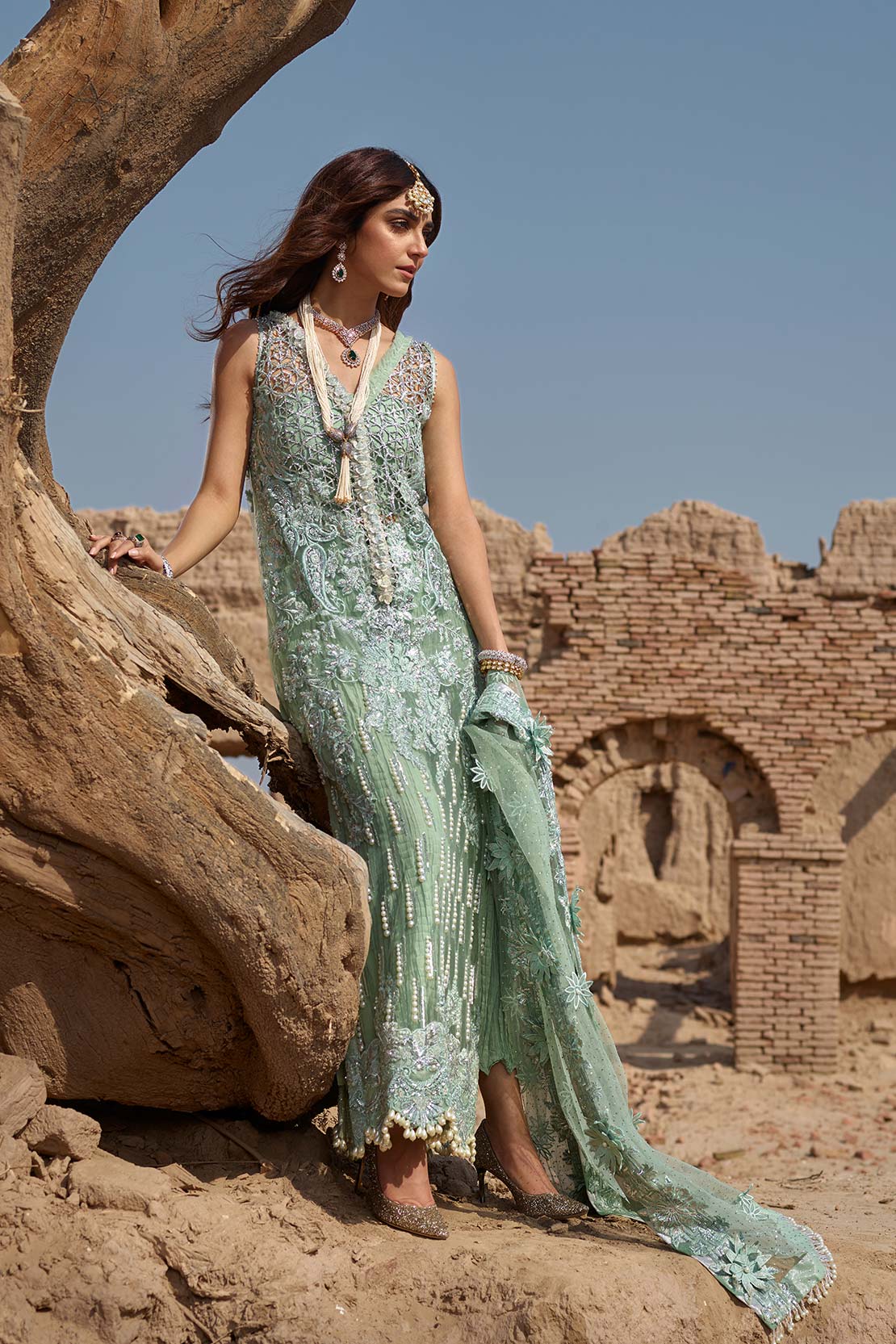 Starry Night Parakeet (Crimson x SairaShakira Luxury Collection 19)
