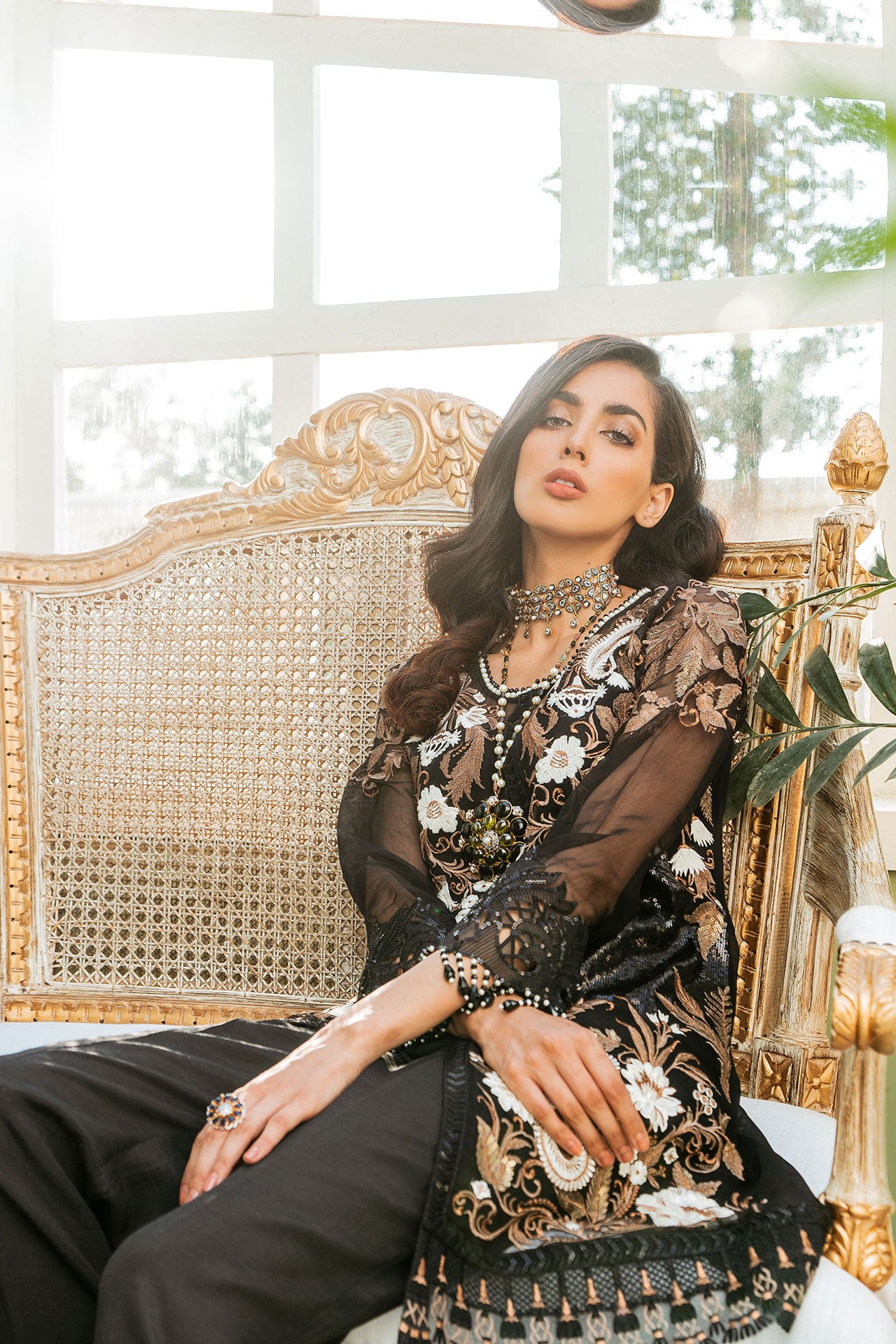 Anubis | Coir | Alianto Luxury Chiffon Collection Vol-VI