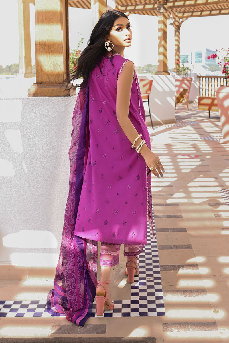 Wild Aster - HM22-05B | Mushq | Hemline Lawn Collection 2022