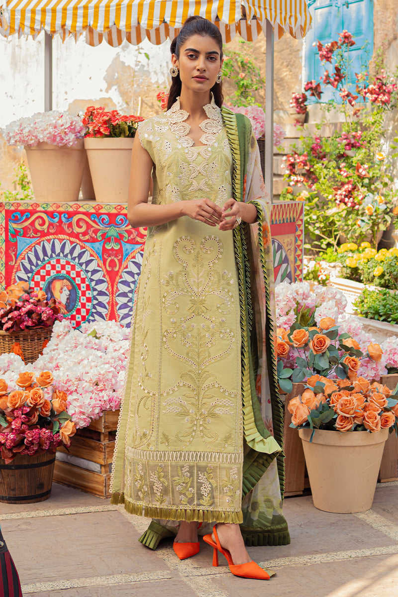 Sofia | Mushq | Tesoro Hemline Lawn 2023