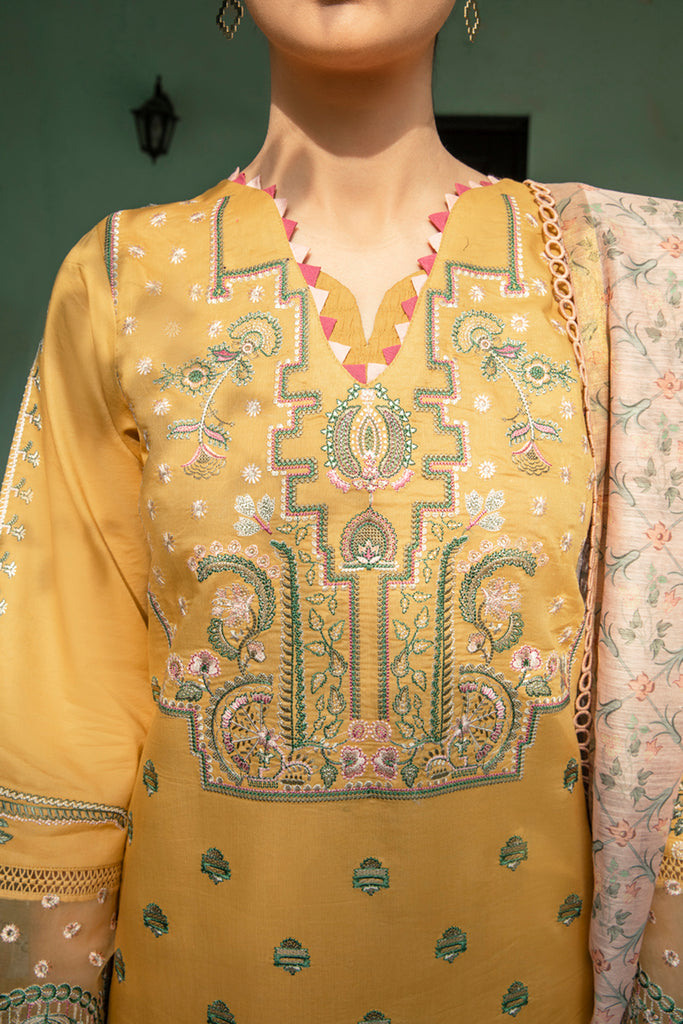 QB - 12 Reine | Qalamkar | Qline Summer Lawn 2022