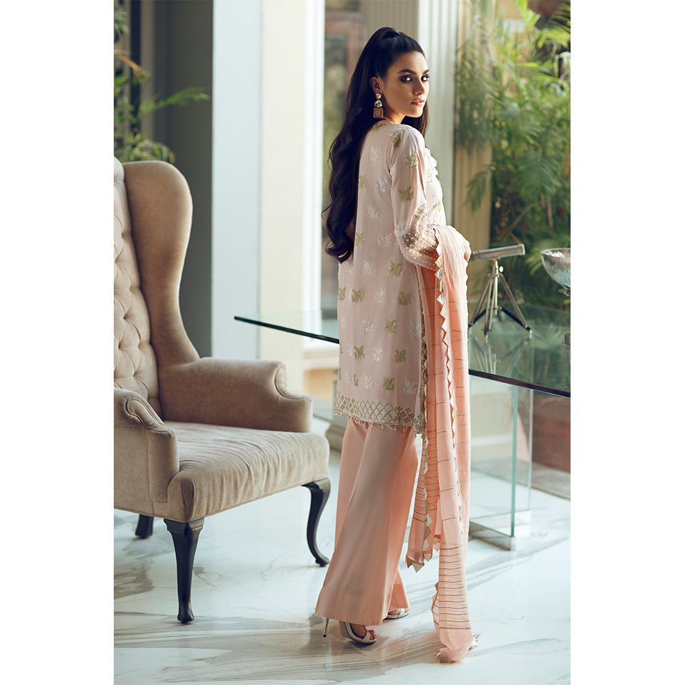 Pearl Shine (Rouche Chikankari Collection)