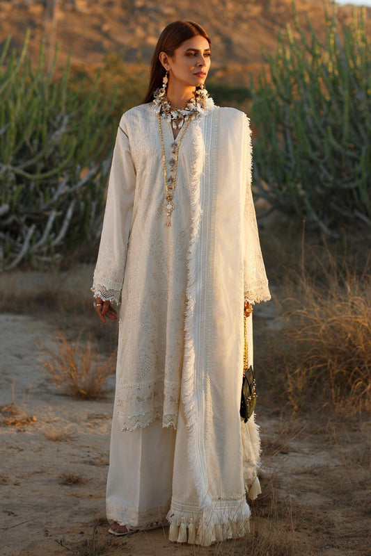 Validen | Rang Rasiya | Premium Lawn '21