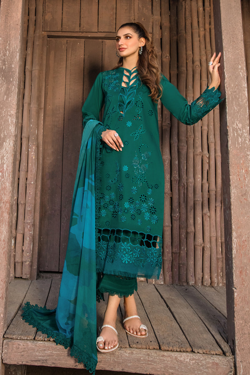 JADE | Rang Rasiya | Carnation Festive Edit 2024 – Ayat B Wardrobe