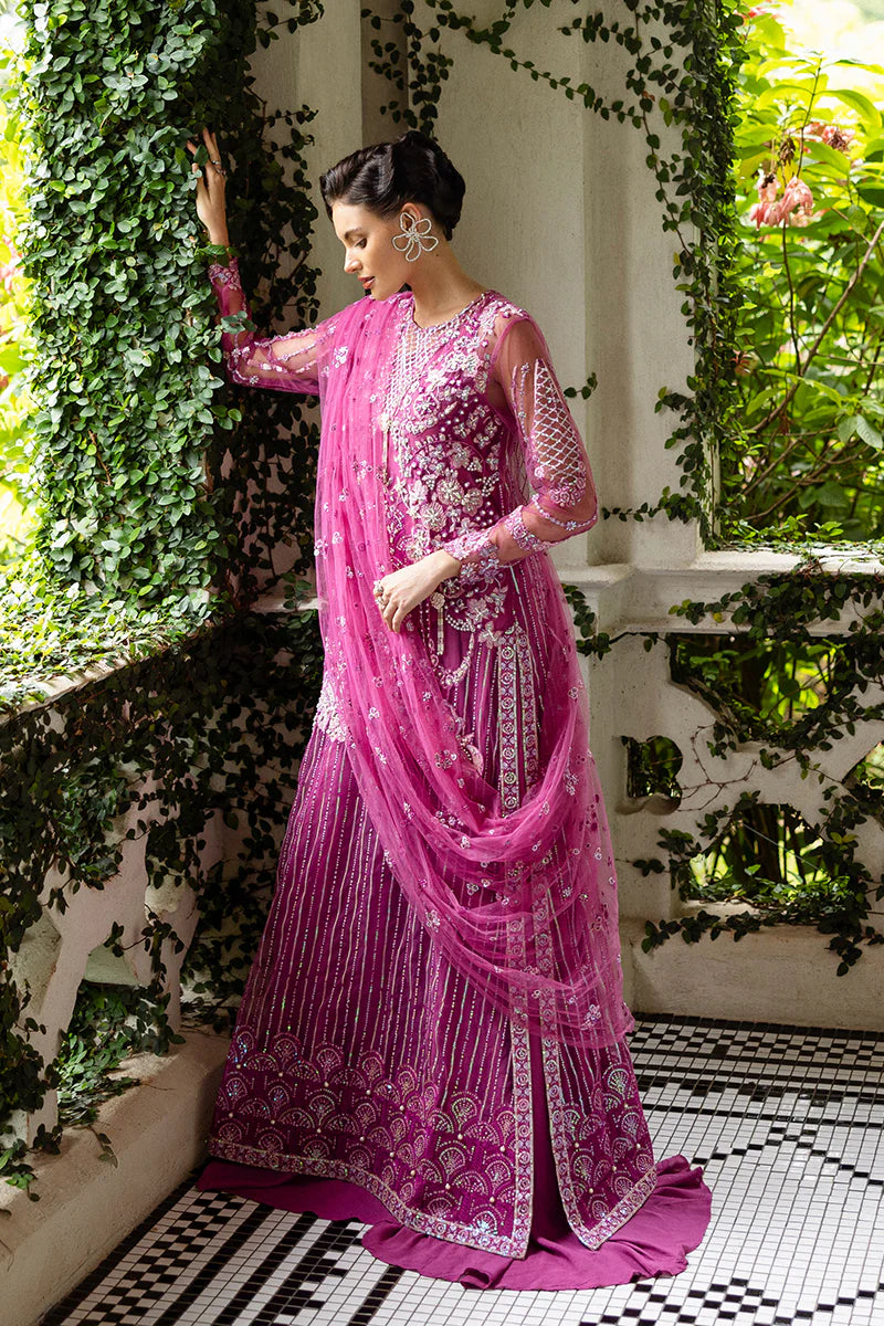 Sweet November | Mushq | Inception Wedding Collection 2025