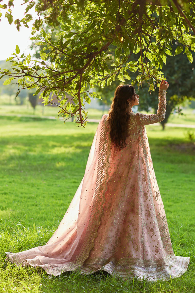 Saira SH-08 | Qalamkar | Shadmani Luxury Formals 2024