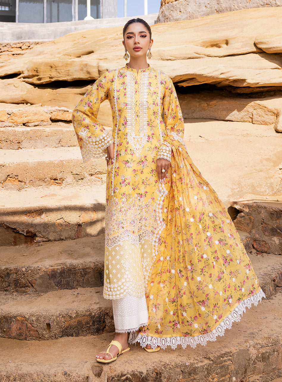 Esme - 9B | Zainab Chottani | Chikankari Collection 2024