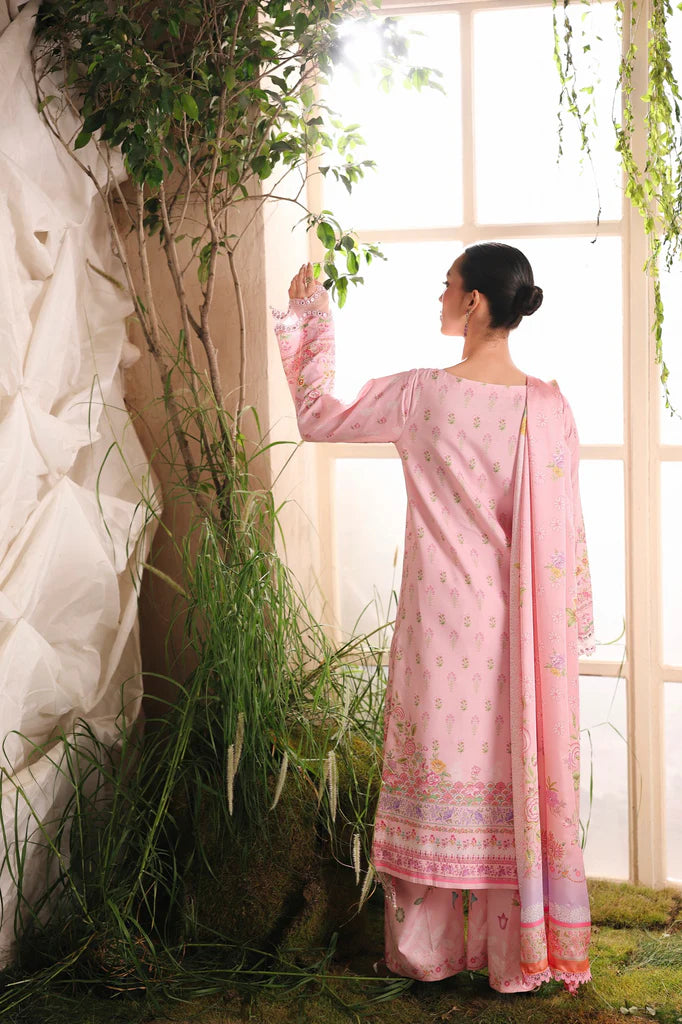 D-01 | Raj Bari | Silah Silk Edit 2025