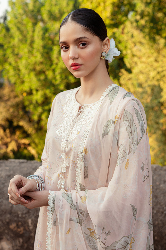 SILVER PEONY | Cross Stitch | Unstitched Premium Lawn 2024