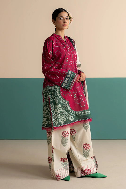 Nelea-2B | Zara Shahjahan | Coco Prints edit III 2025