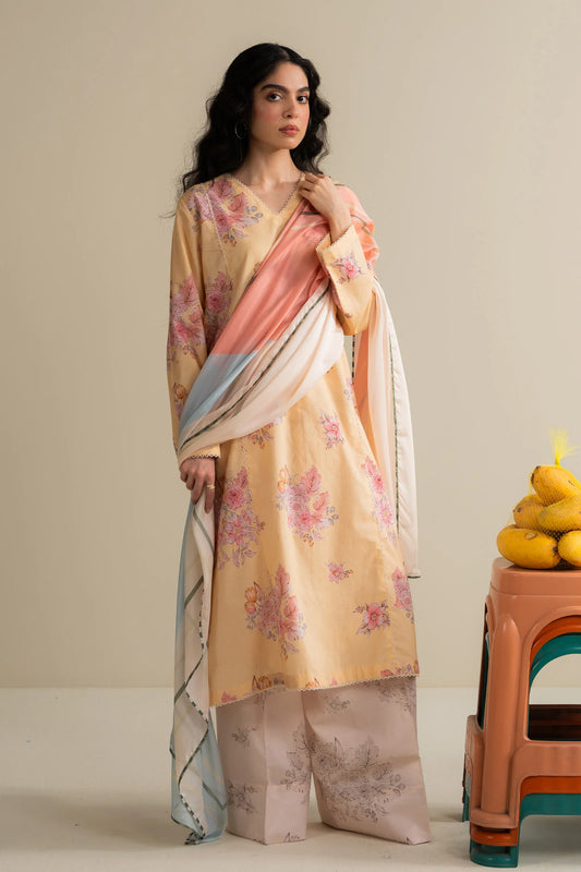 Ovela-1B | Zara Shahjahan | Coco Prints edit III 2025