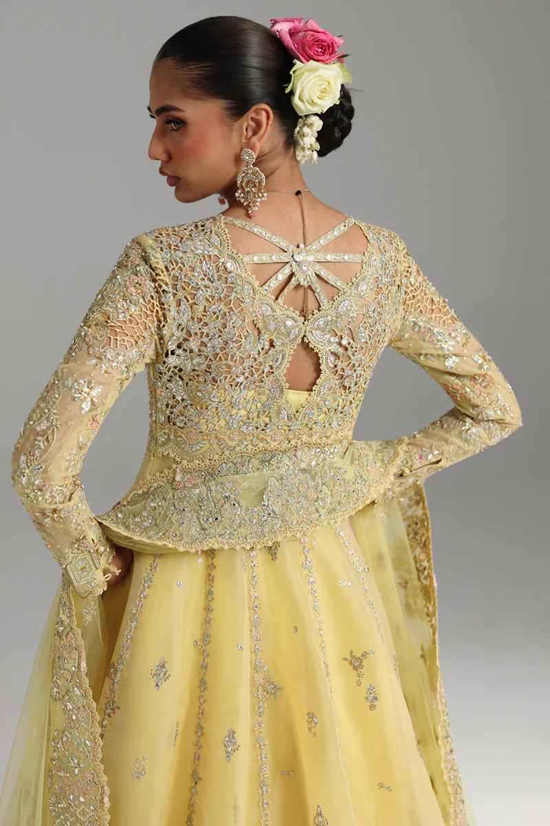 RH - 06 - HOOR | Qalamkar |Shadmani Wedding Formals Collection 2025