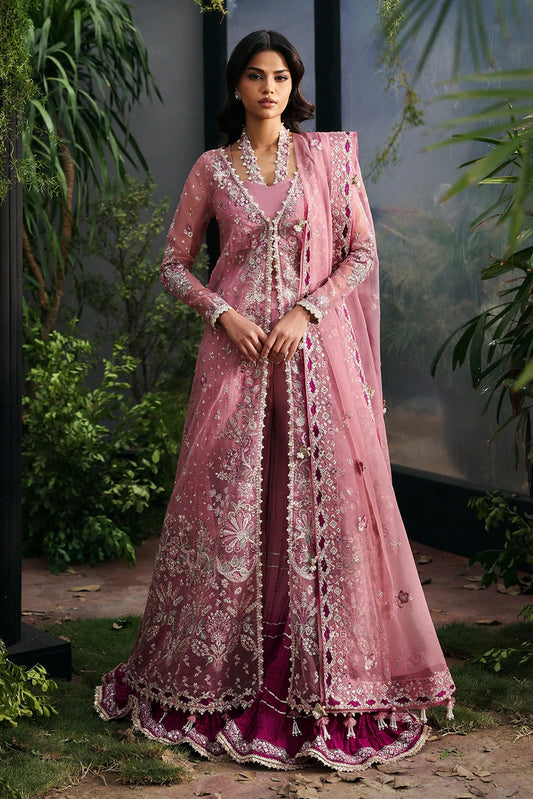 Seraira | Afrozeh | La Fuchsia Collection 2025