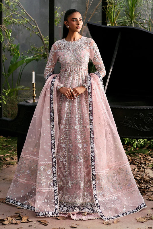 Zeal | Afrozeh | La Fuchsia Collection 2025