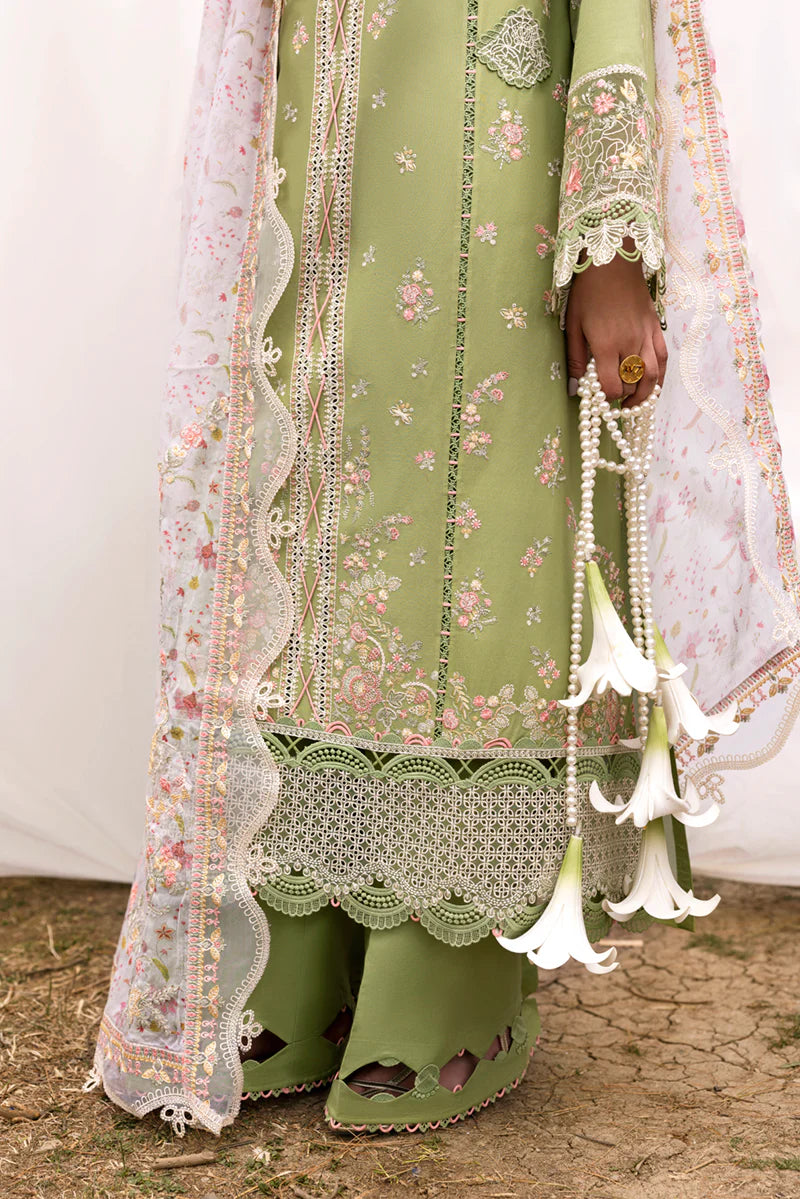 DC-01 Lovisa | Qalamkar | QlineKari Lawn 2025