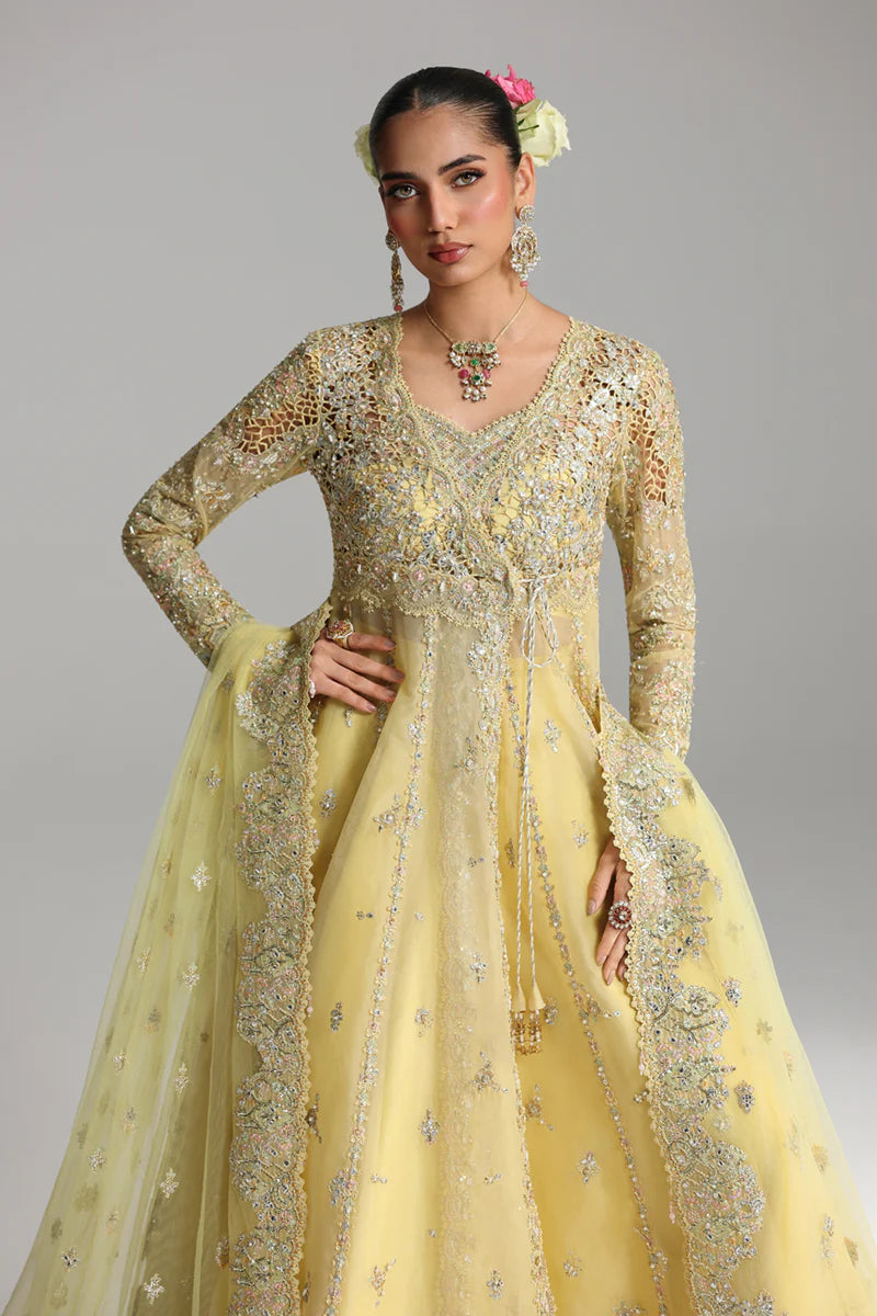 RH - 06 - HOOR | Qalamkar |Shadmani Wedding Formals Collection 2025