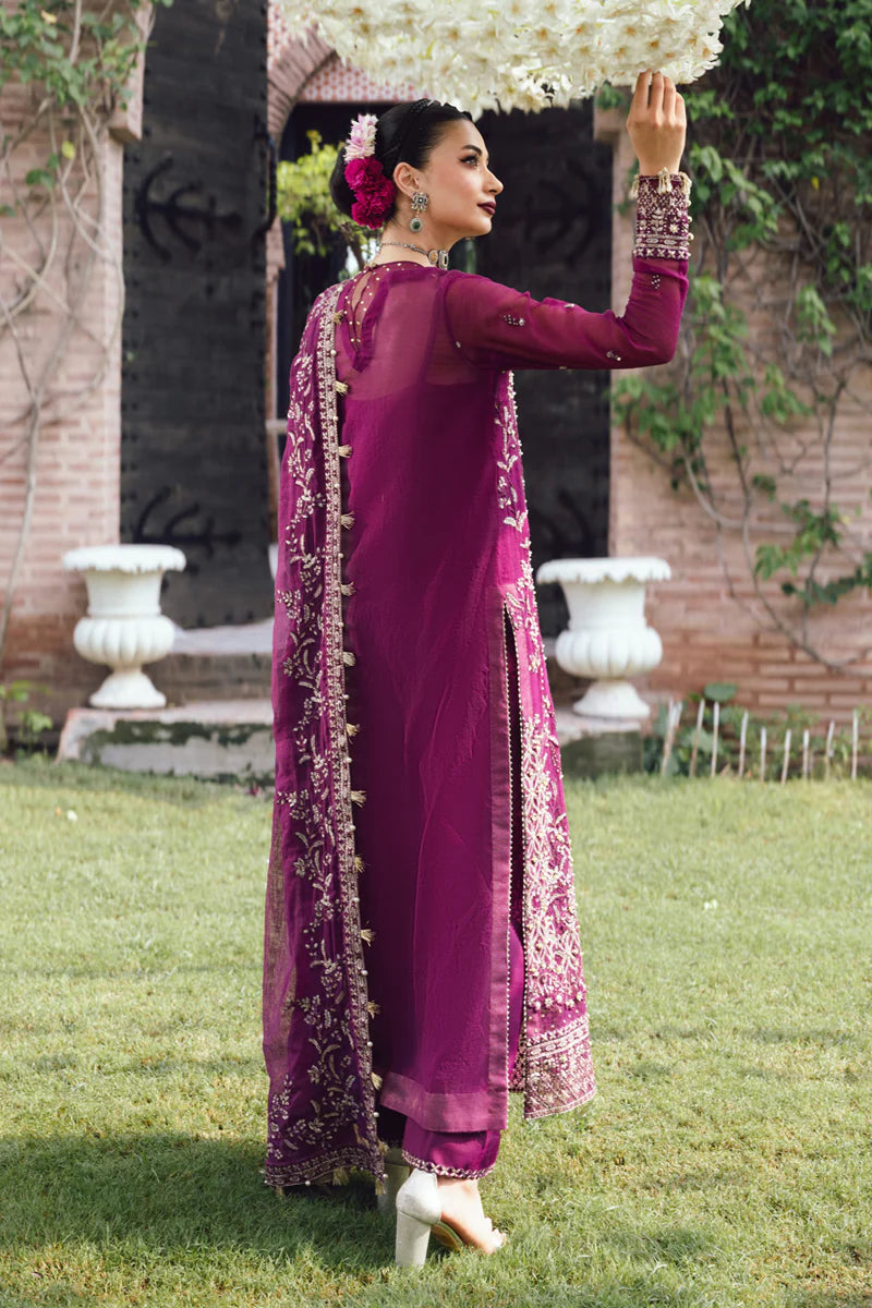 Nimir | Rang Rasiya | Wedding Formals 2025