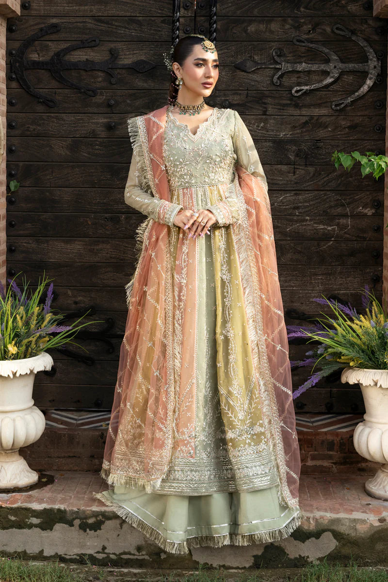 Amil | Rang Rasiya | Wedding Formals 2025