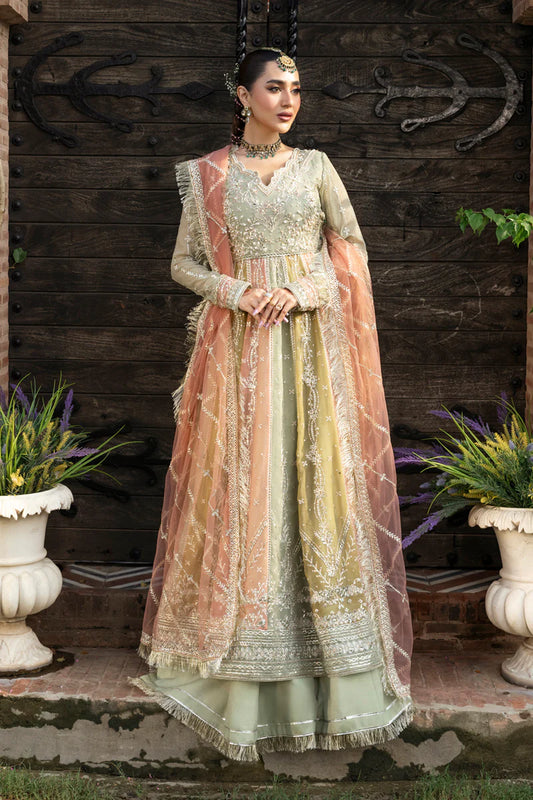 Amil | Rang Rasiya | Wedding Formals 2025