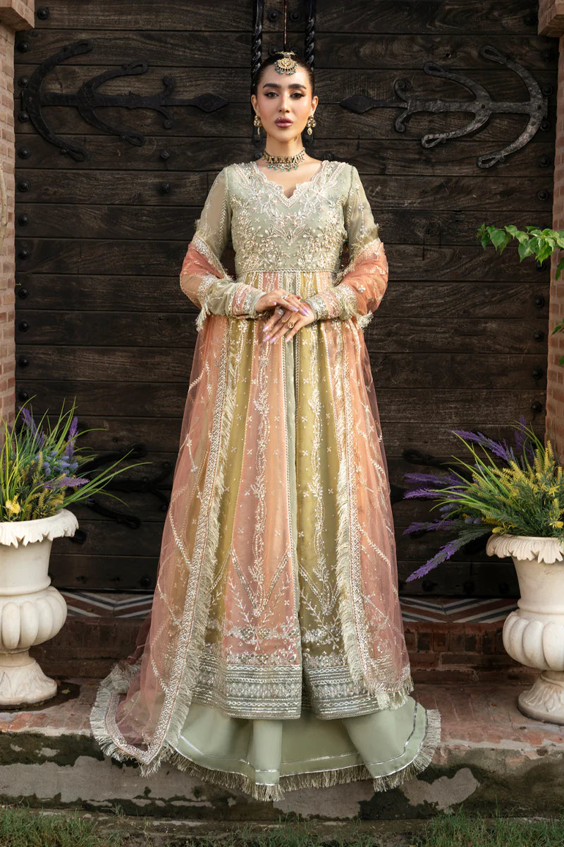 Amil | Rang Rasiya | Wedding Formals 2025