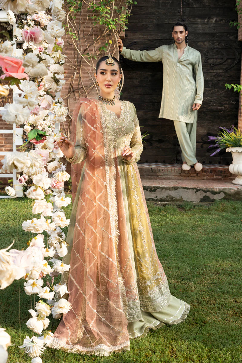 Amil | Rang Rasiya | Wedding Formals 2025