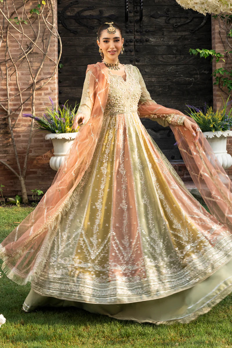 Amil | Rang Rasiya | Wedding Formals 2025