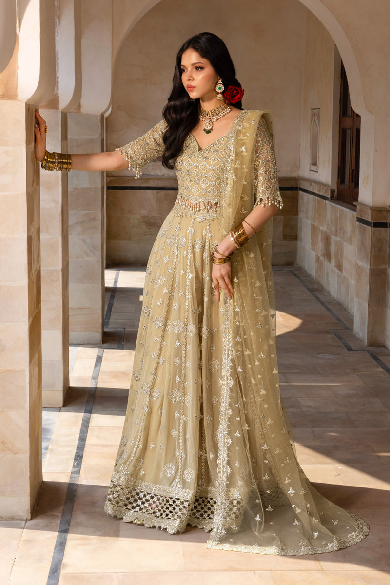 Ziana Rabab Rayan Collection Zaiena | Rang Rasiya | Chiffon Formals Unstitched Collection 2026 ...