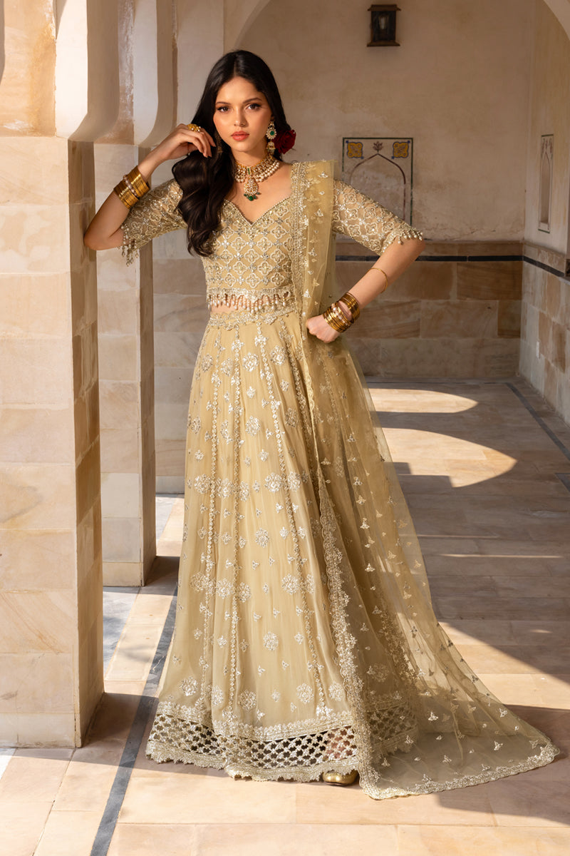 Ziana Rabab Rayan Collection Zaiena | Rang Rasiya | Chiffon Formals Unstitched Collection 2026 ...